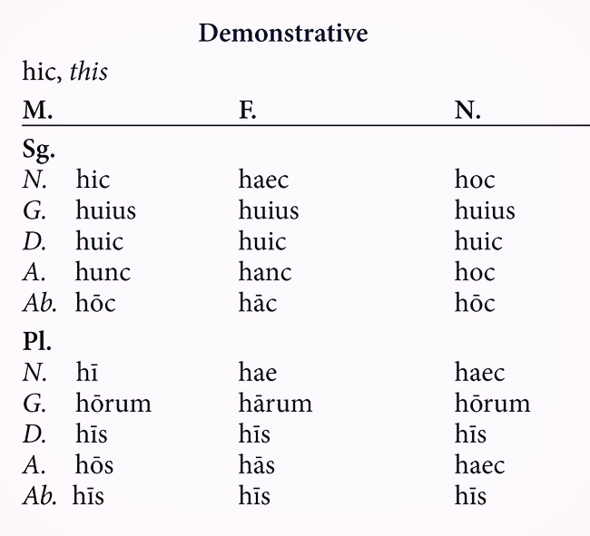 hic-haec-hoc