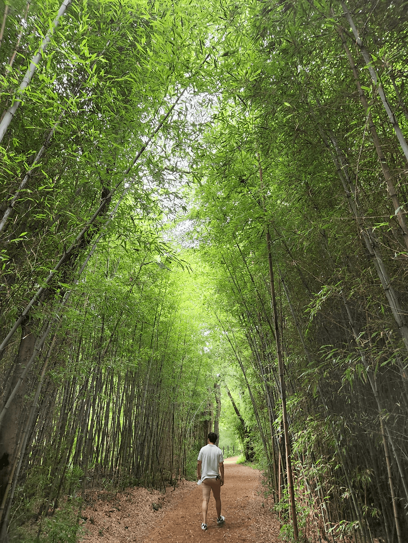 전라도 여행코스, 변산반도부터, 가마미해수욕장 까지 - 이기린의활동기