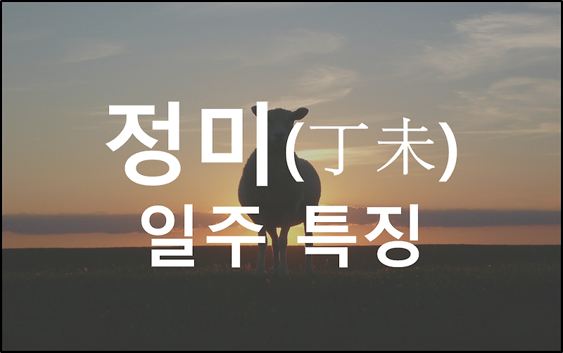 일주론: 정미일주 남자와 여자의 특징