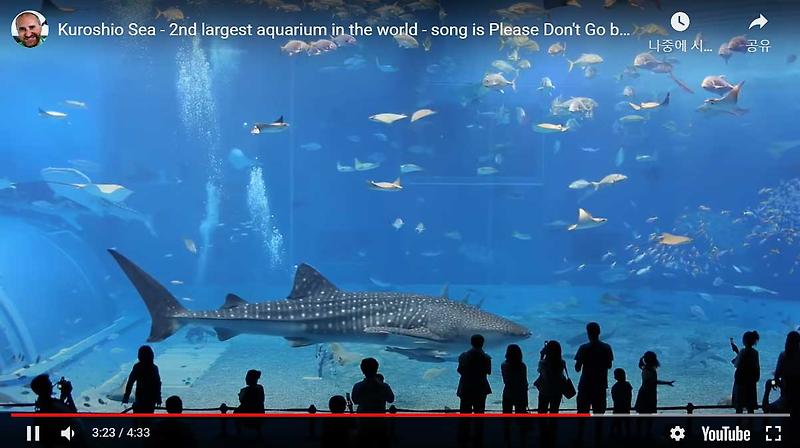 Kuroshio Sea - 2nd largest aquarium in the world - song is Please Don't ...