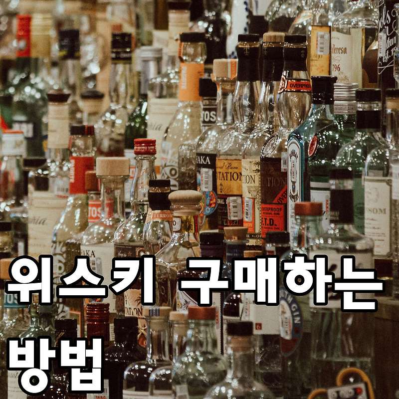 위스키 저렴하게 구매하는 방법