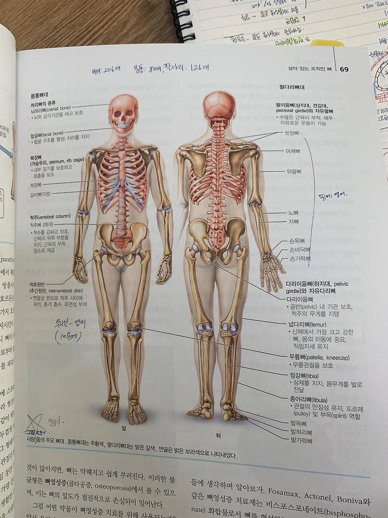 레포트 표지 작성법, A+ 받을 수 있는 레포트 표지 작성법 꿀팁!