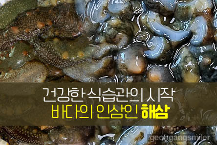 바다의 인삼인 해삼으로 건강한 식습관의 시작