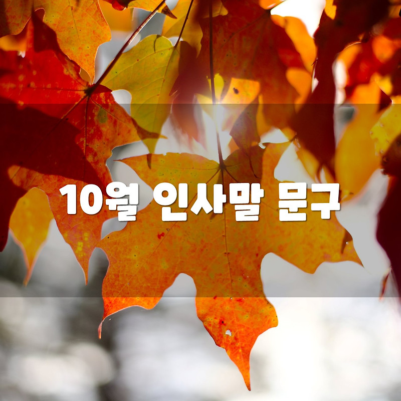 10월 인사말 문구 모음(문자, 카톡, 이미지, 안부 인사)