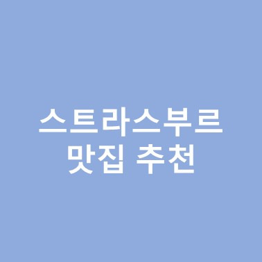 스트라스부르 구시가지 자전거 렌트 비용