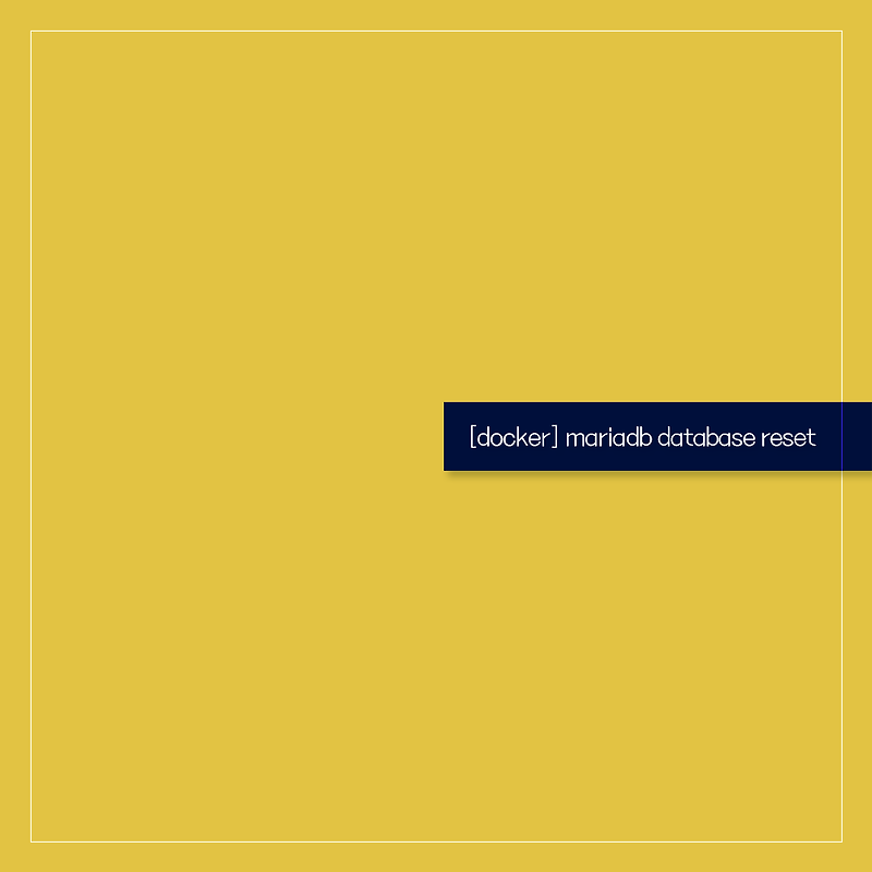 error-docker-mariadb-database