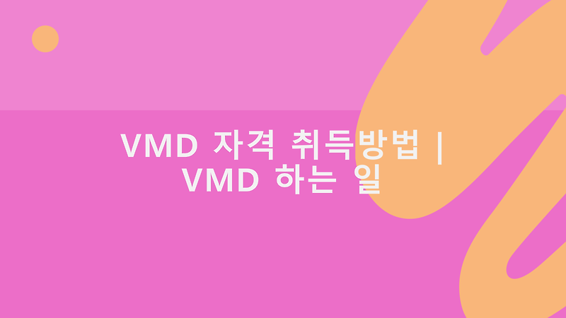 VMD 자격 취득방법 | VMD 하는 일