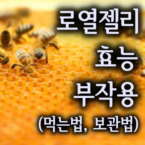 리뷰를 통한 로얄젤리의 먹는 방법과 로얄젤리의 효능과 부작용