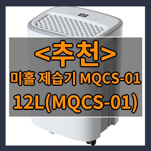 미홀 제습기 MQCS-01 추천