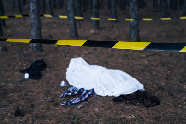 김하늘 양을 흉기로 살해 :: RIDO.RIDO