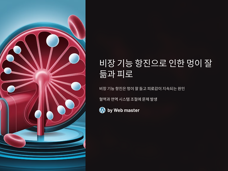비장 기능 항진으로 인한 멍이 잘 듦과 피로: 원인과 해결 방법