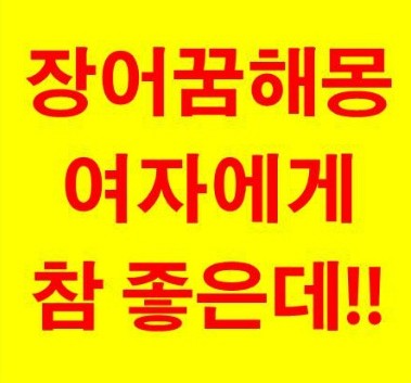 장어 꿈해몽!! 큰장어 먹는꿈, 나오는꿈, 잡는꿈