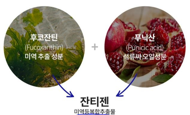 잔티젠 효과 3가지 | 다이어트에 도움 될까요?