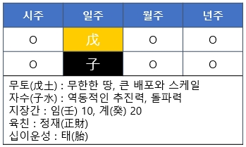 [사주명리] 무자일주(戊子日柱)