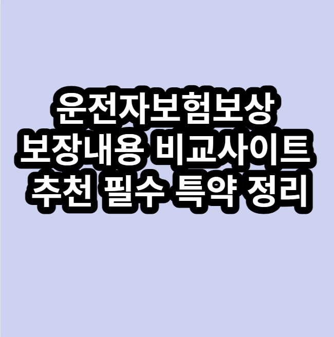 운전자보험보상 보장내용 비교사이트 추천 필수 특약 정리