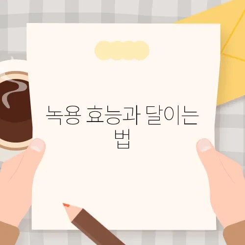 녹용 효능과 달이는 법