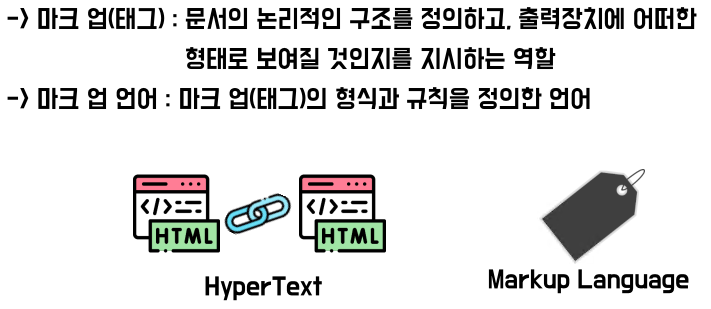 [HTML] HTML이란? 웹 개발을 시작하는 필수 가이드