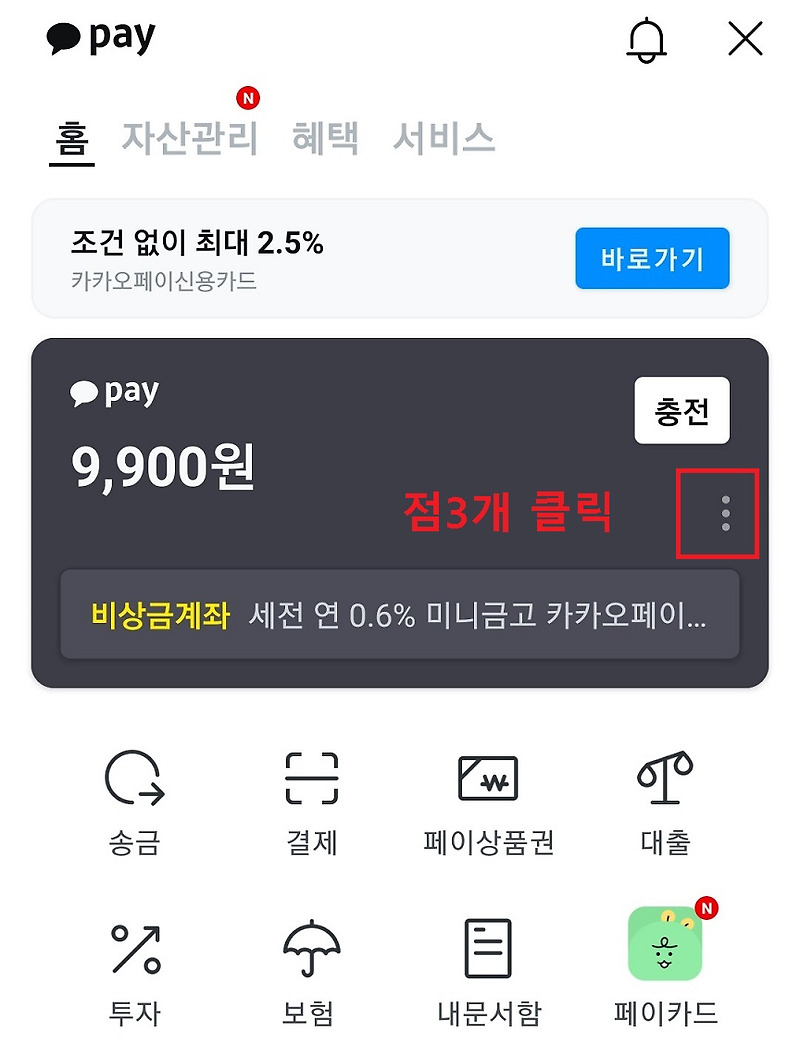 카카오페이 송금내역 확인