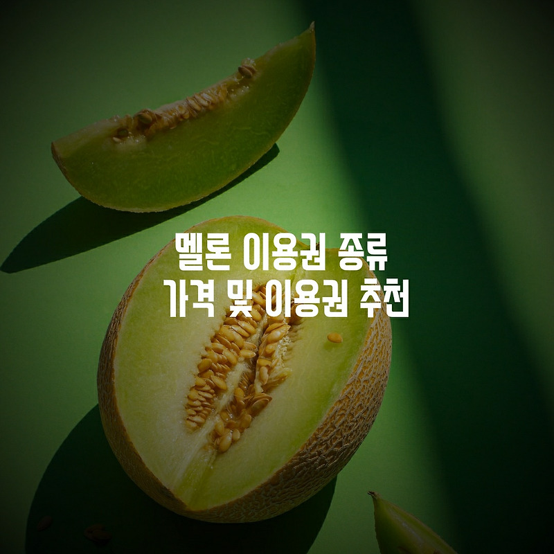 멜론 이용권 종류 가격 및 추천