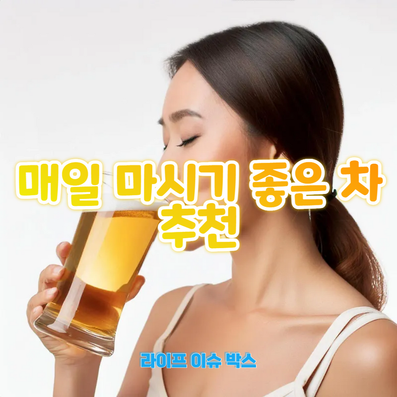 일상에서 마시면 좋은 차 추천합니다. 건강과 맛을 동시에 잡을 수 있는 차 종류를 소개합니다. 물 대신 마셔도 좋은 차를 지금 ...