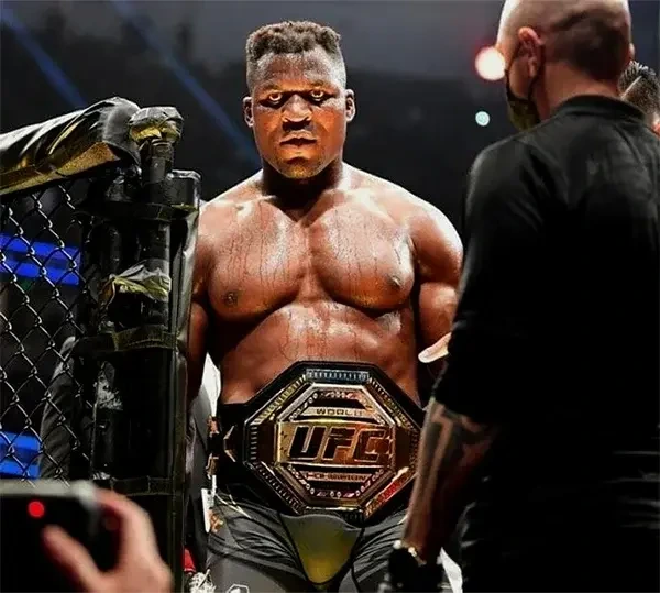 UFC 헤비급 챔피언 프란시스 은가누 Francis Ngannou 펀치력 / 타이슨 퓨리와의 경기