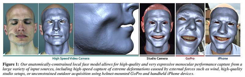 An Anatomically-Constrained Local Deformation Model for Monocular Face ...