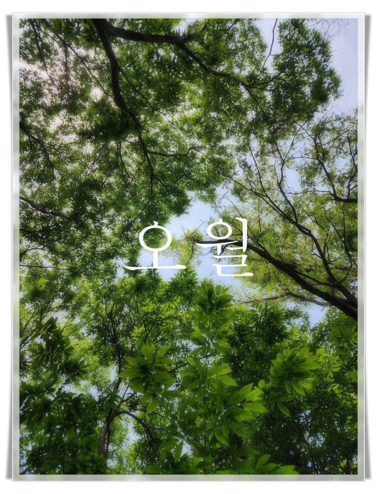 오월 「피천득 시인」
