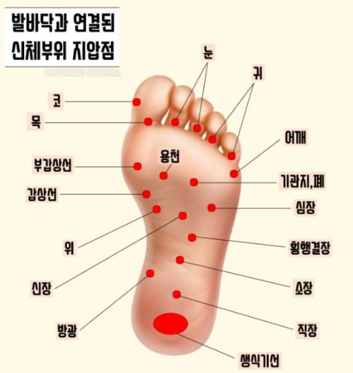 발 지압 혈자리 위치 이름 통증 효과 총정리 이것만 보시면 끝!
