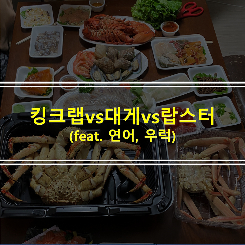 킹크랩vs 대게 vs 랍스타 맛 비교 후기 (feat. 연어, 우럭)