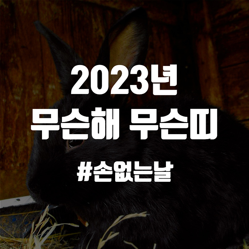 2023년 무슨해? 무슨띠? 손 없는 날 이사하기 좋은 날