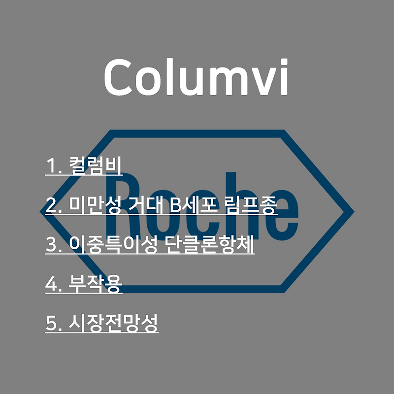 [Roche] 컬럼비 (Columvi)