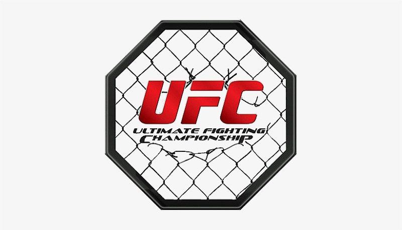 UFC 중계 무료 채널 | 정찬성 댄이게 중계좌표 | UFC 263 경기일정