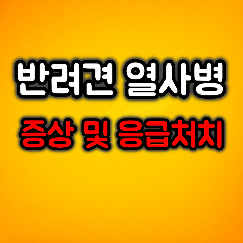 반려견 열사병 증상 및 응급처치 방법