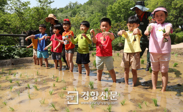 🔹아이들의 호기심, 사고로 이어질 위험과 대처법