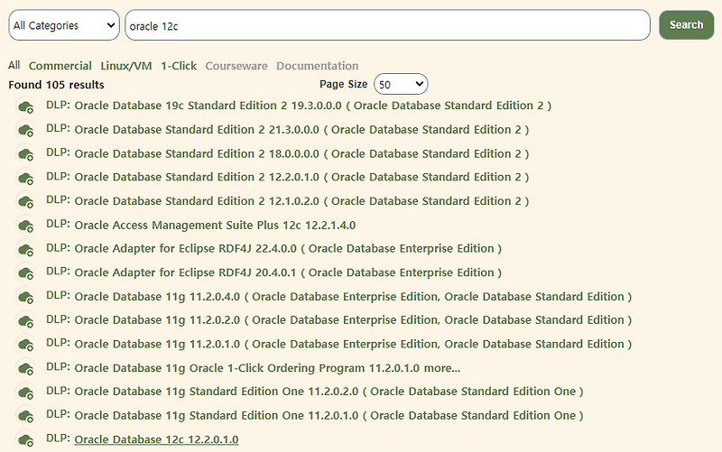 Linux Oracle 12c r2 설치 (2024-06-21 최신화)