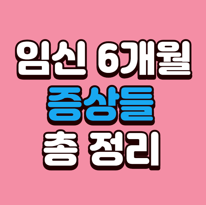 임신 6개월 증상 총정리