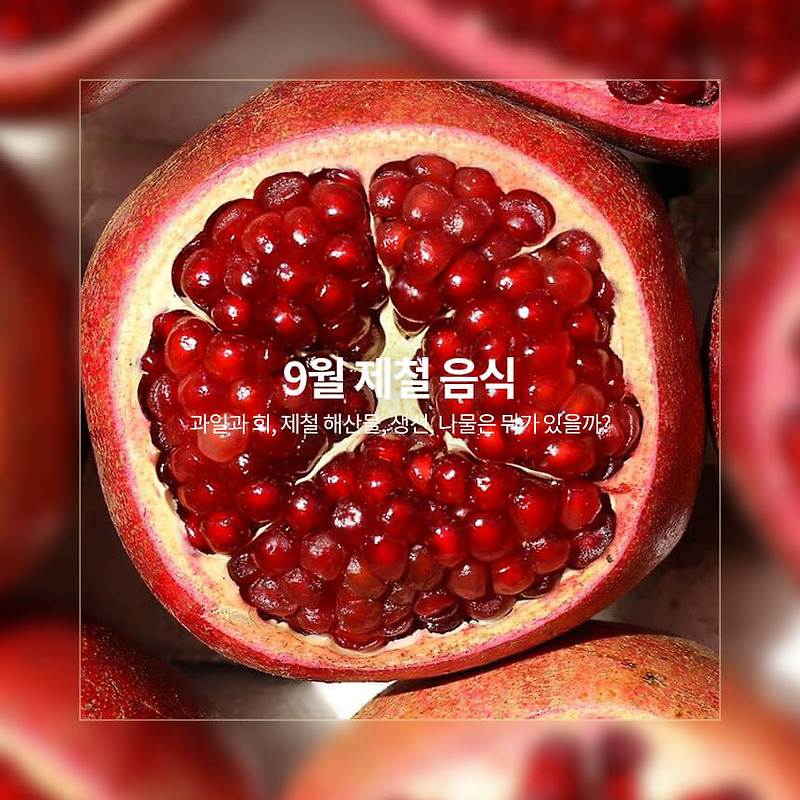 9월 제철 음식, 과일과 회, 제철 해산물, 생선, 나물은 뭐가 있을까?
