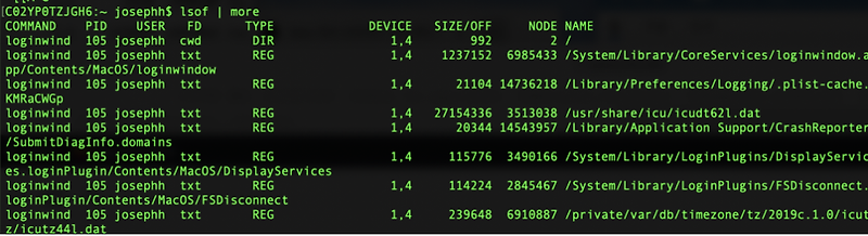 lsof-file-open-port-check