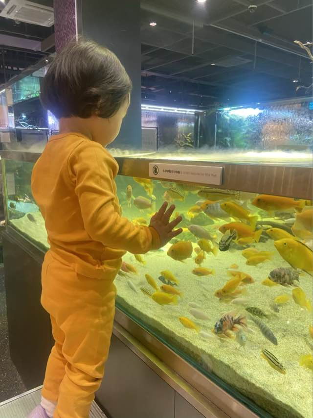 아기랑 갈만한 곳 (유형 분석함)
