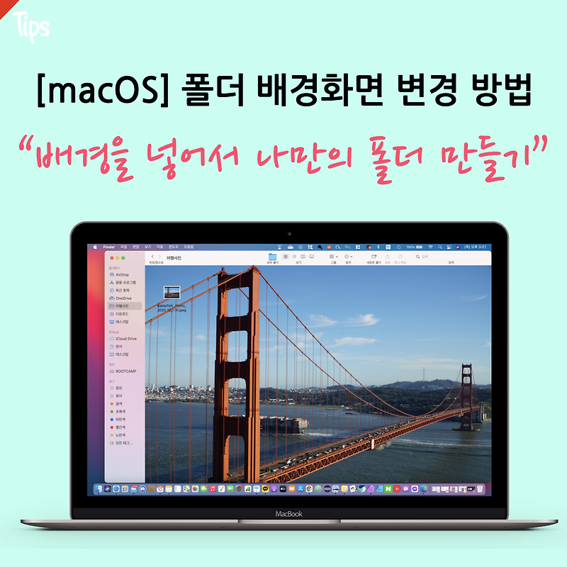 [macOS] 파인더 폴더의 배경 변경하는 방법