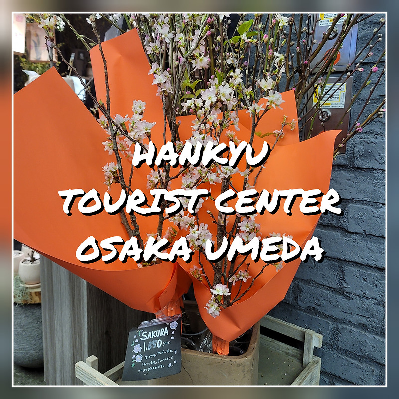 한큐 투어리스트 센터에서 한큐 투어리스트 패스(Hankyu Tourist Pass) 교환하기