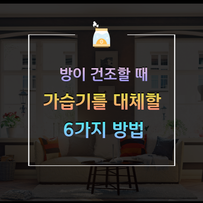 방이 건조할 때 가습기 대신 활용할 수 있는 6가지 방법