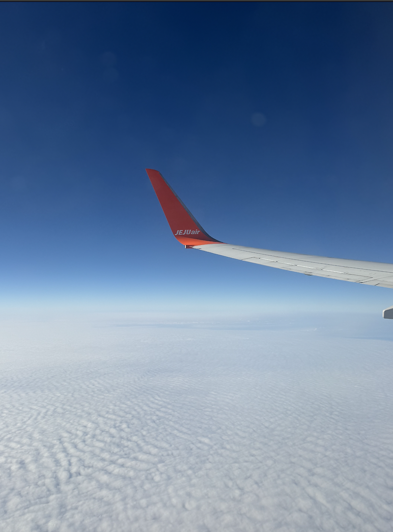 제주항공 타도 될까? 인천-다낭 (7C 2903), 다낭-인천 (7C 2902) 제주항공 리뷰