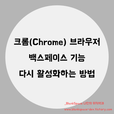 크롬(Chrome) 브라우저 뒤로가기 버튼 기능을 추가하는 방법 (Go Back With Backspace 확장 프로그램 이용)