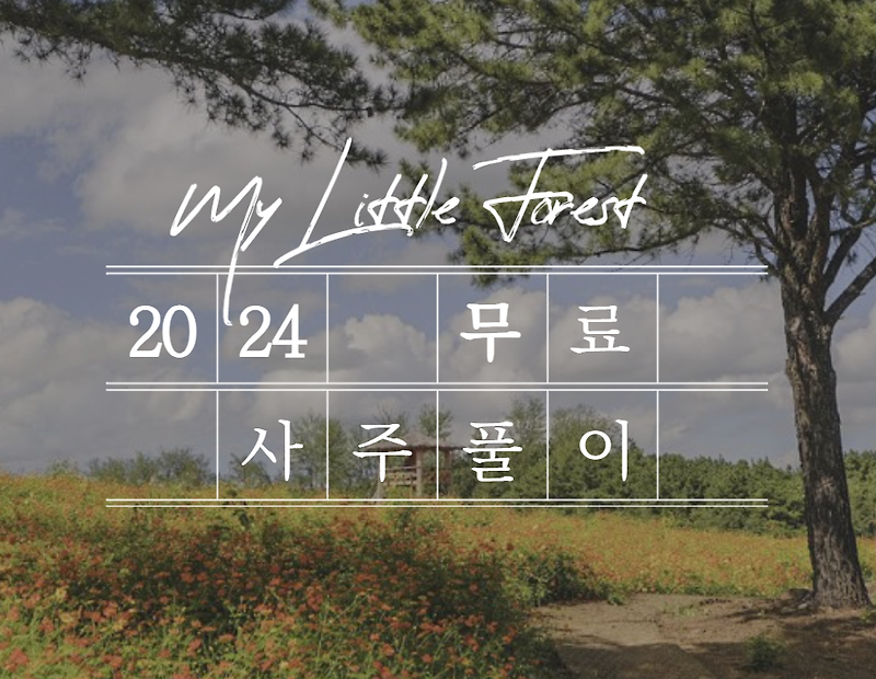 사주풀이 무료 (2024)