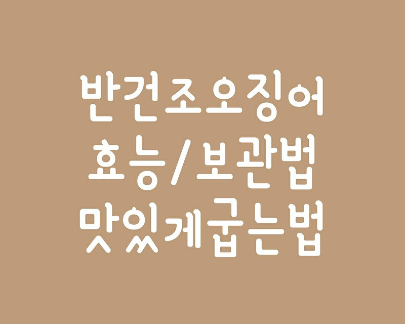 반건조 오징어 효능/ 보관법/ 맛있게 굽는법