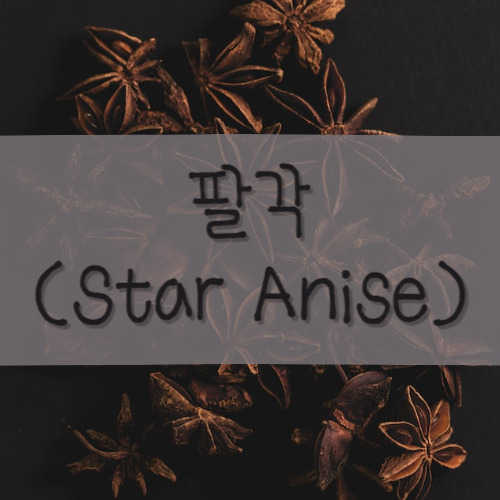 팔각 향신료에 대해 알아봅시다. 팔각향의 특징 효능 영양소