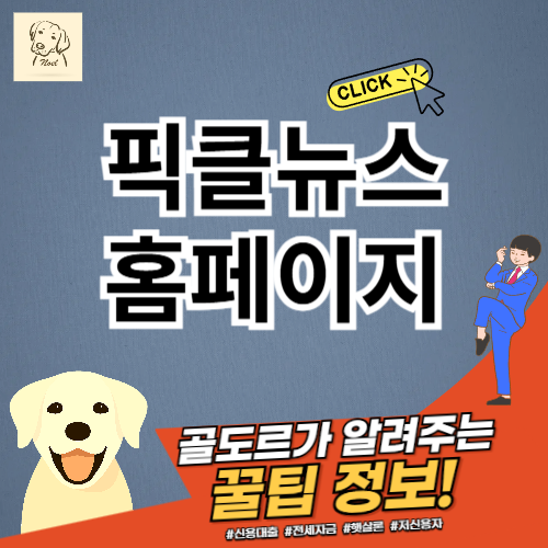 픽클뉴스 홈페이지 바로가기