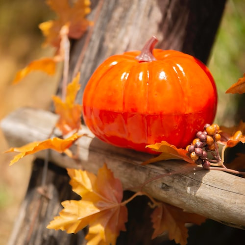 10 Superfoods to Include in Your Diet The Wellth Nut