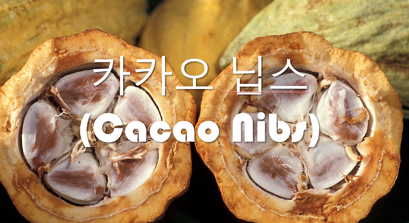 카카오 닙스(Cacao Nibs) 이야기